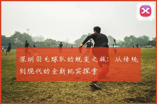 深圳羽毛球队的蜕变之旅：从传统到现代的全新纪实探索