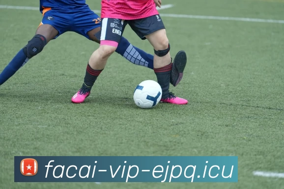 乐鱼体育APP 封面图